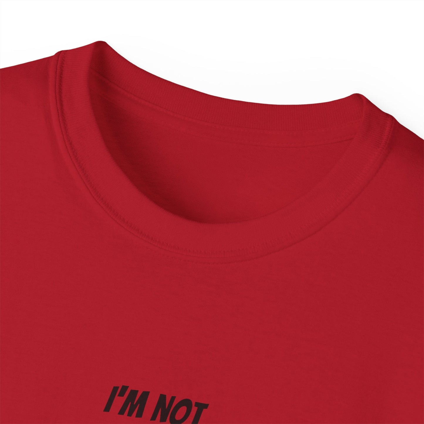 Sage and Hood Tshirt